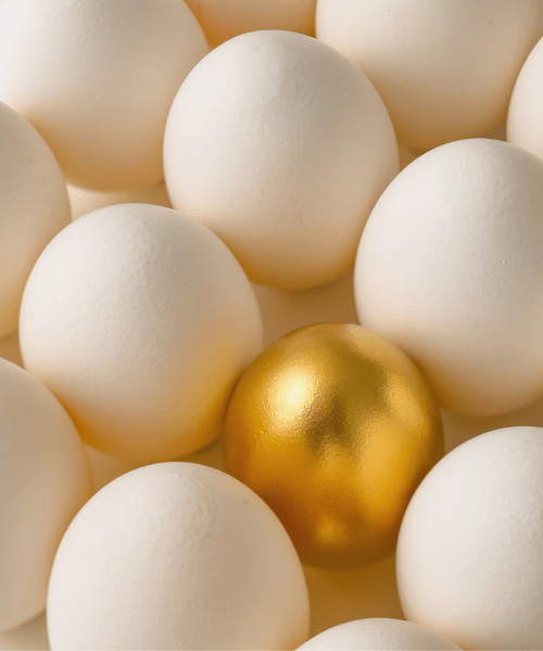 A golden egg in between white eggs, symbolizing core values and finding focus and purpose as a creative.